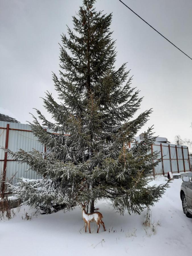 Kamchatskiy Stil' Hostel Yelizovo Luaran gambar